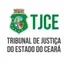 Imagem do grupo CONCURSO TJCE 🌴 OJ no WhatsApp